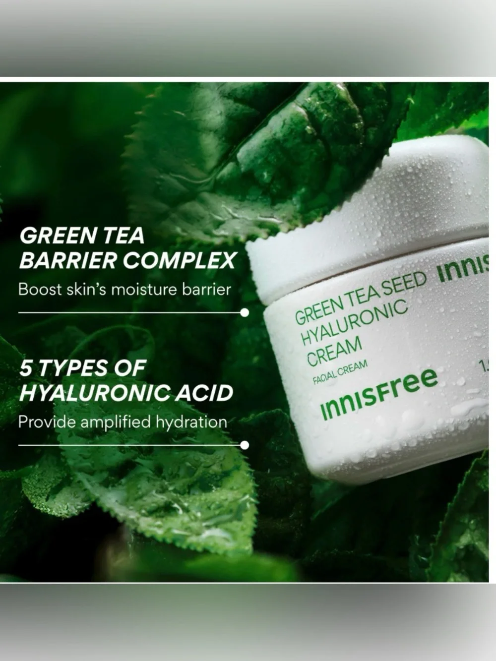 Innisfree Green Tea Seed Hyaluronic Cream –